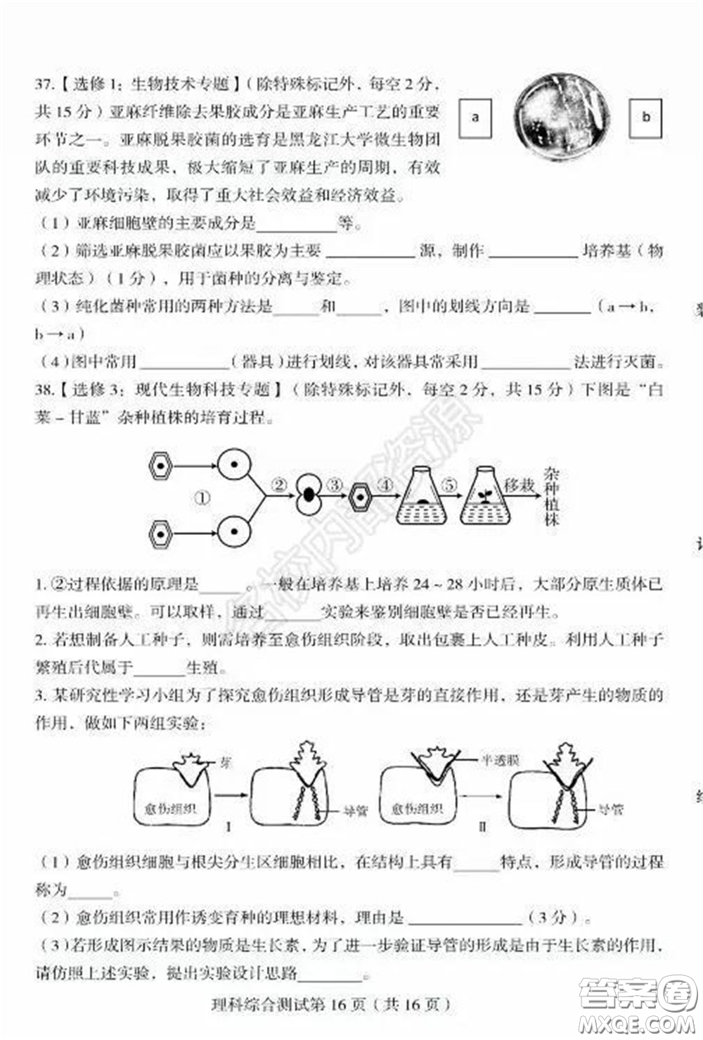 2020年東北三省四市一模理科綜合試卷及答案