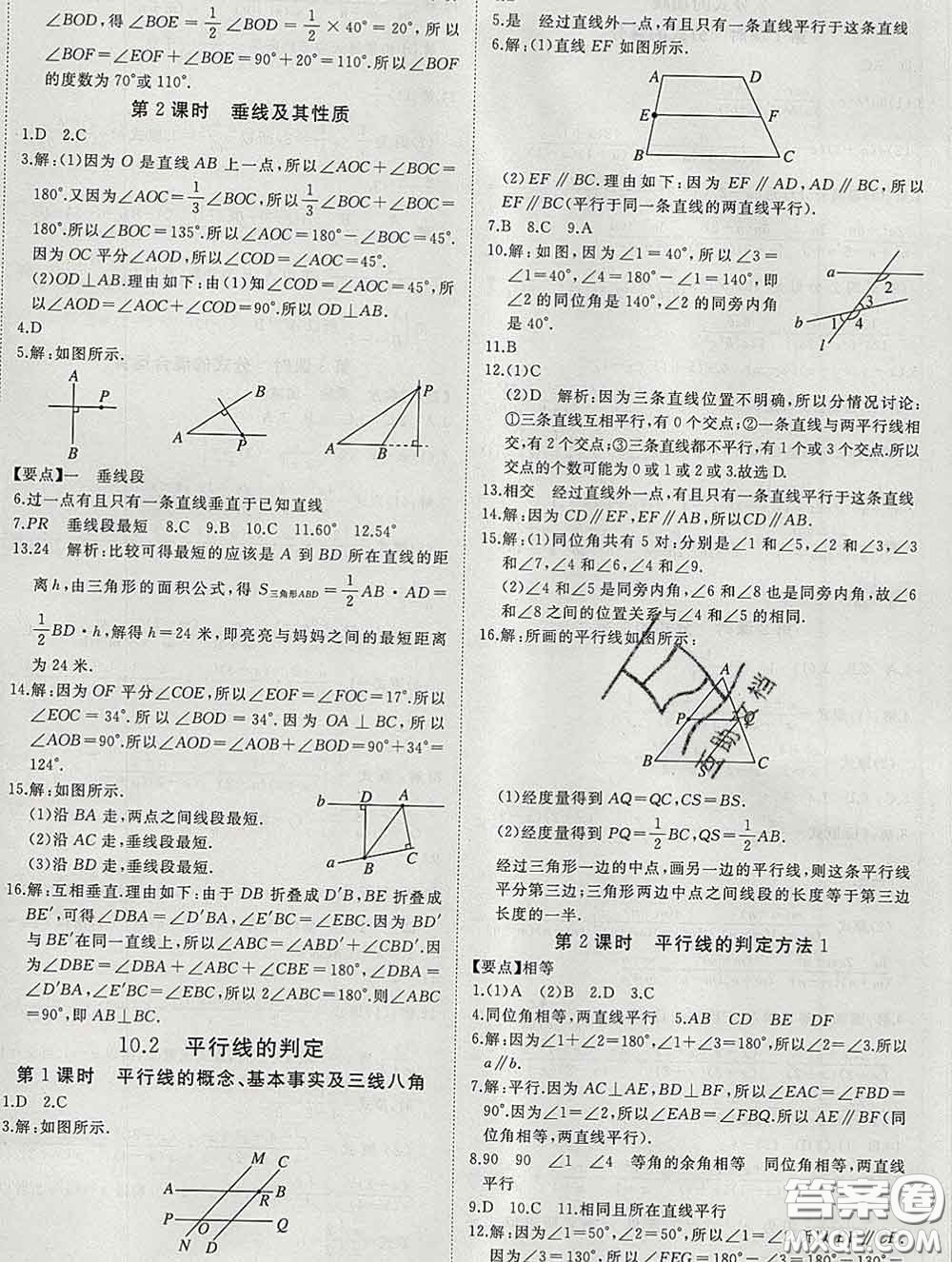 延邊大學(xué)出版社2020新版新領(lǐng)程叢書新領(lǐng)程七年級(jí)數(shù)學(xué)下冊(cè)滬科版參考答案