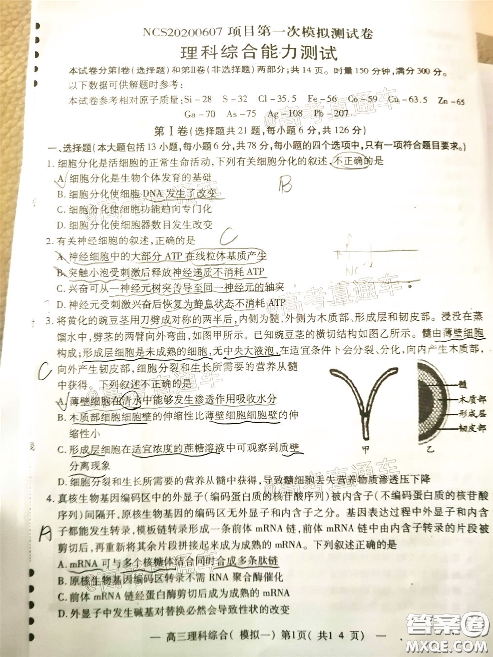 2020年南昌一模理科綜合試題及答案