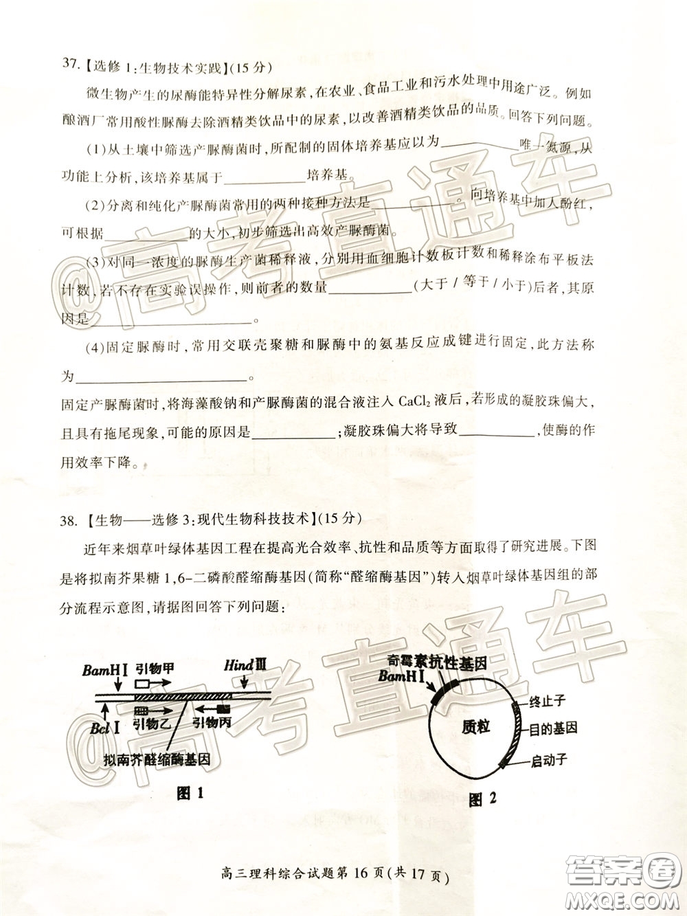 郴州市2020屆高三第二次教學(xué)質(zhì)量監(jiān)測(cè)試卷理科綜合試題及答案