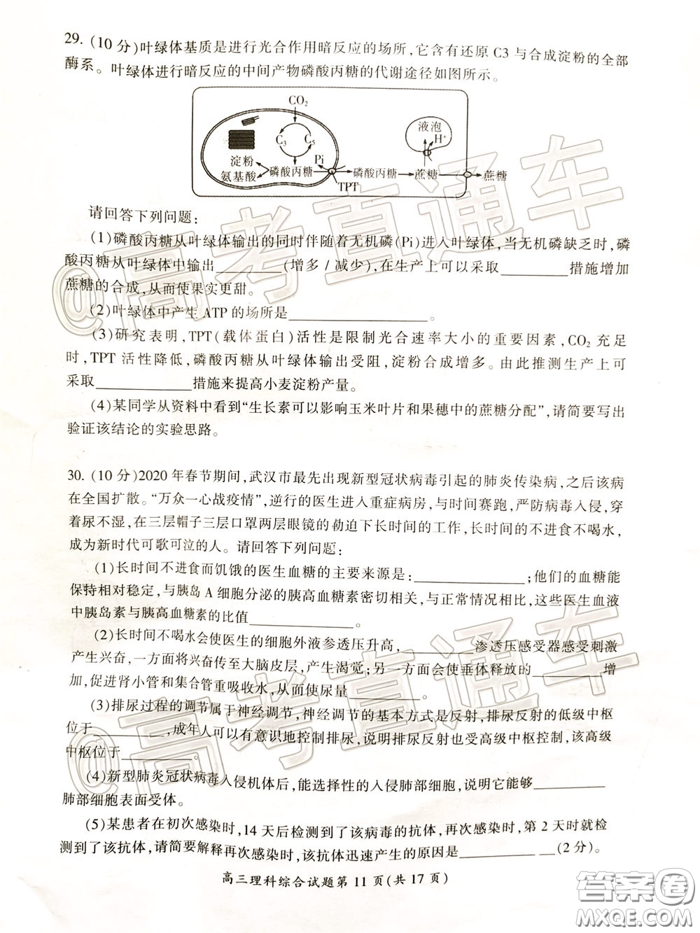 郴州市2020屆高三第二次教學(xué)質(zhì)量監(jiān)測(cè)試卷理科綜合試題及答案