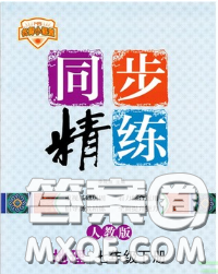 2020春名師小課堂同步精練七年級(jí)地理下冊(cè)人教版答案