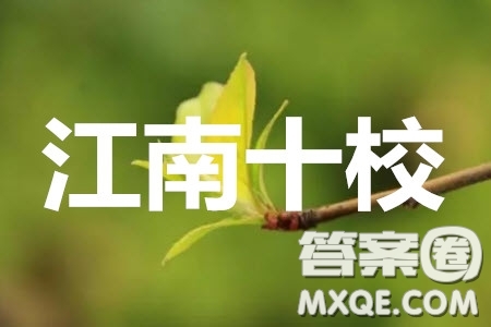 2020年安徽省江南十校綜合素質(zhì)檢測(cè)文科數(shù)學(xué)試題及答案
