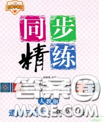 2020春名師小課堂同步精練九年級道德與法治下冊人教版答案