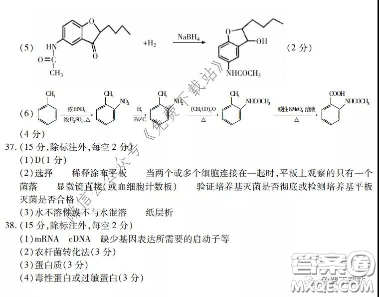 運(yùn)城市2020年高三4月調(diào)研測試?yán)砜凭C合試題及答案