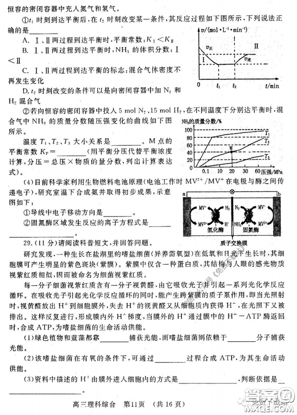 洛陽市2019-2020學(xué)年高中三年級第二次統(tǒng)一考試?yán)砜凭C合試題及答案