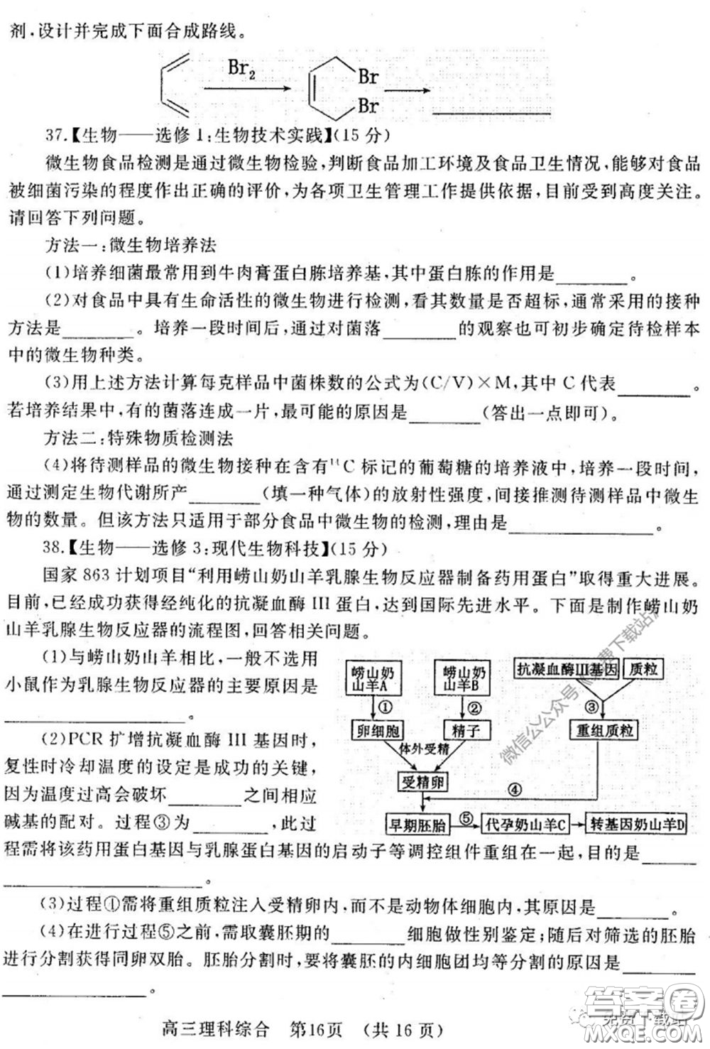洛陽市2019-2020學(xué)年高中三年級第二次統(tǒng)一考試?yán)砜凭C合試題及答案