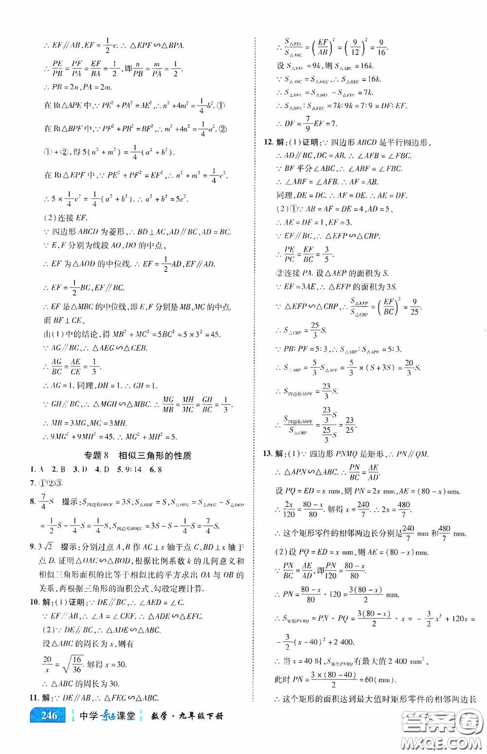 世紀英才中學奇跡課堂2020中考專題總復習九年級數(shù)學下冊人教版教材答案