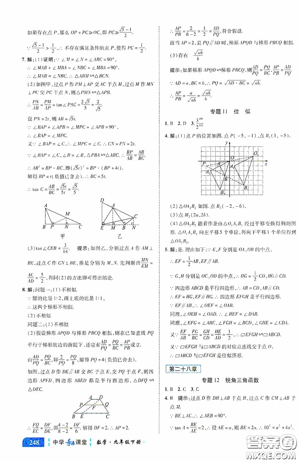 世紀英才中學奇跡課堂2020中考專題總復習九年級數(shù)學下冊人教版教材答案