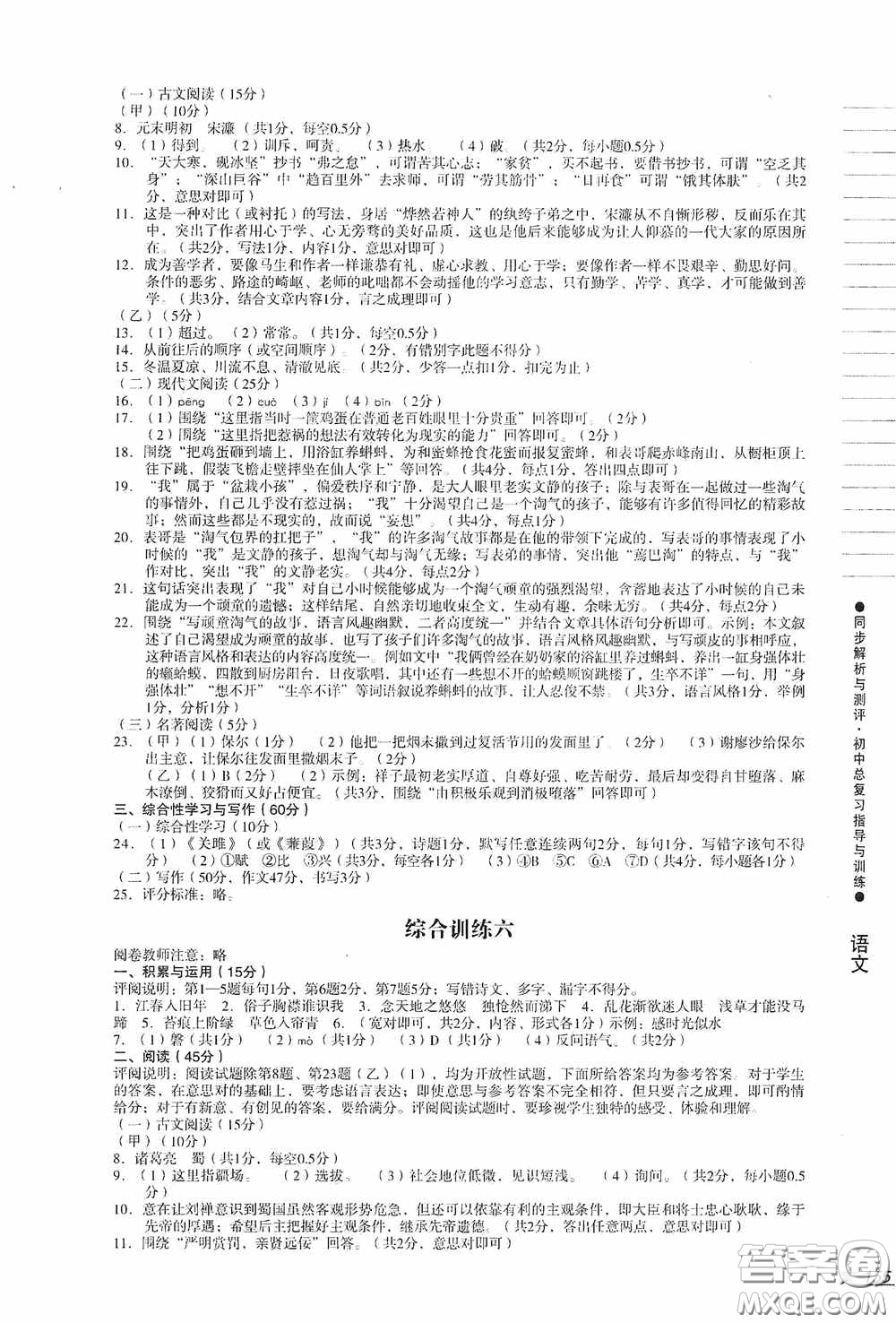 人民教育出版社2020同步解析與測評初中總復(fù)習指導與訓練語文答案