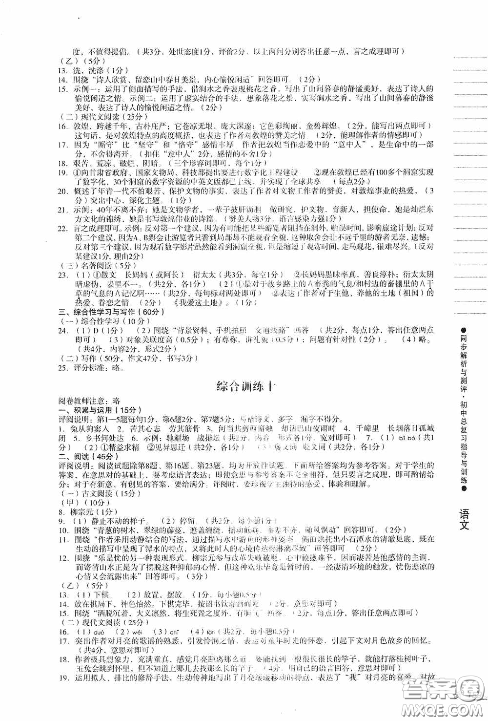 人民教育出版社2020同步解析與測評初中總復(fù)習指導與訓練語文答案