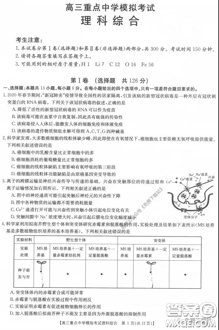 2020年江西金太陽高三重點(diǎn)中學(xué)模擬考試?yán)砜凭C合試題及答案
