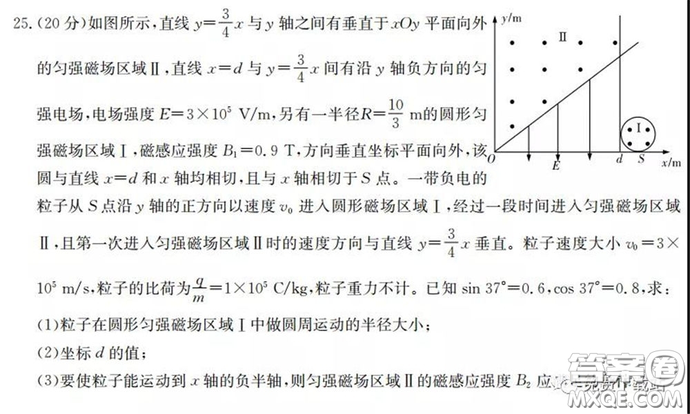 廣西2020屆高中畢業(yè)班第一次適應性測試理科綜合試題及答案