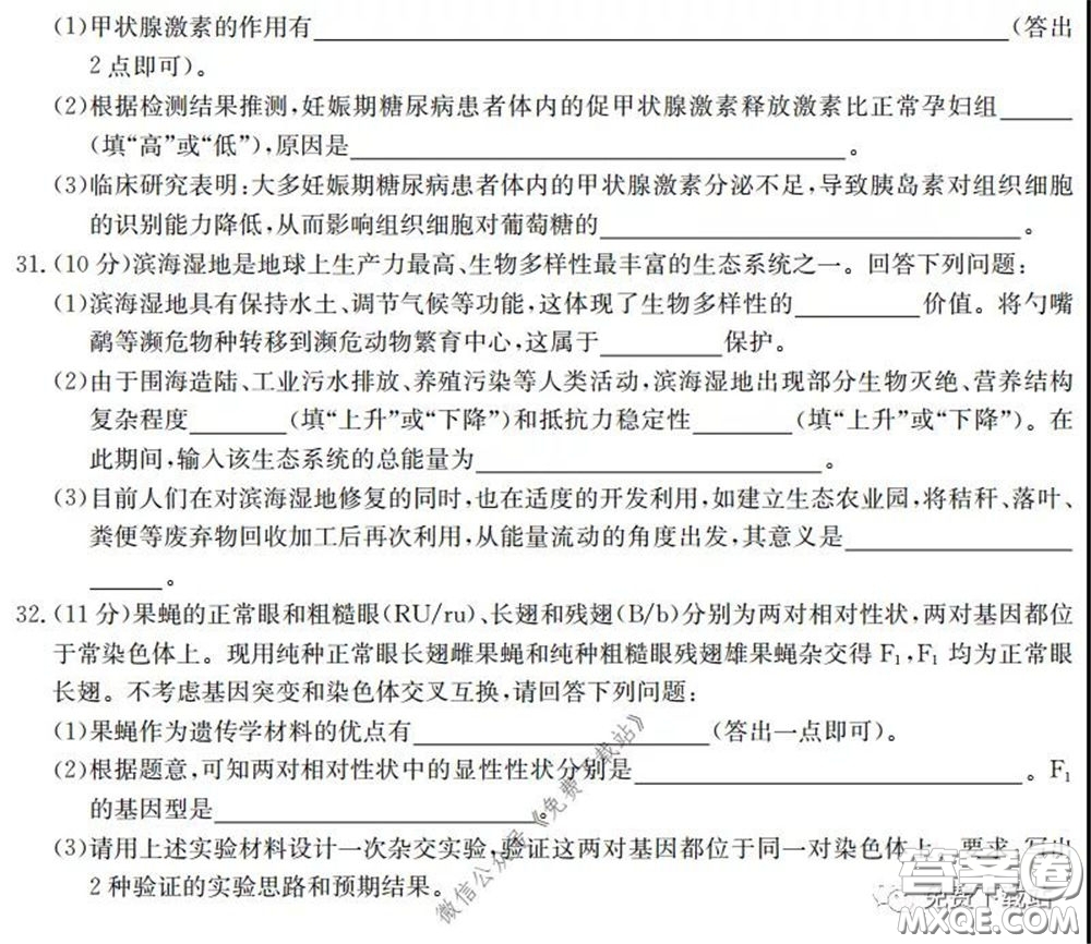 廣西2020屆高中畢業(yè)班第一次適應性測試理科綜合試題及答案