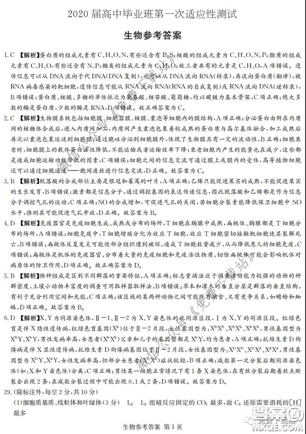 廣西2020屆高中畢業(yè)班第一次適應性測試理科綜合試題及答案