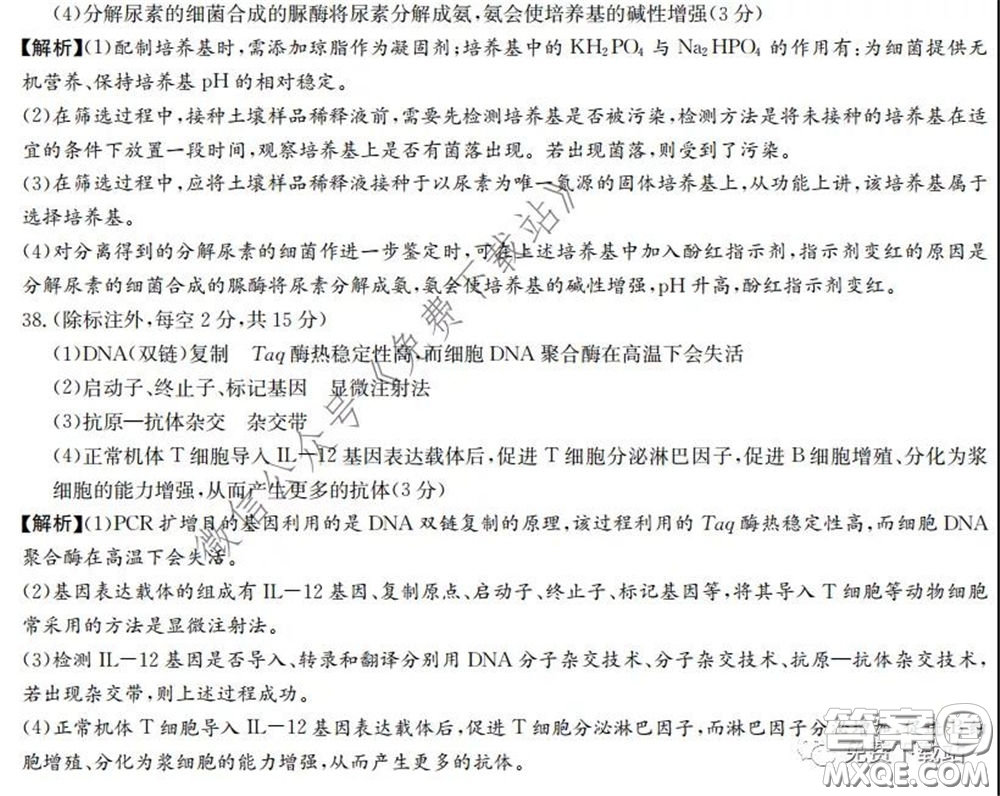 廣西2020屆高中畢業(yè)班第一次適應性測試理科綜合試題及答案