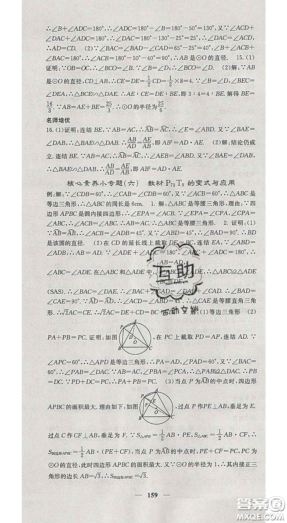 四川大學(xué)出版社2020春名校課堂內(nèi)外九年級(jí)數(shù)學(xué)下冊(cè)華師版答案