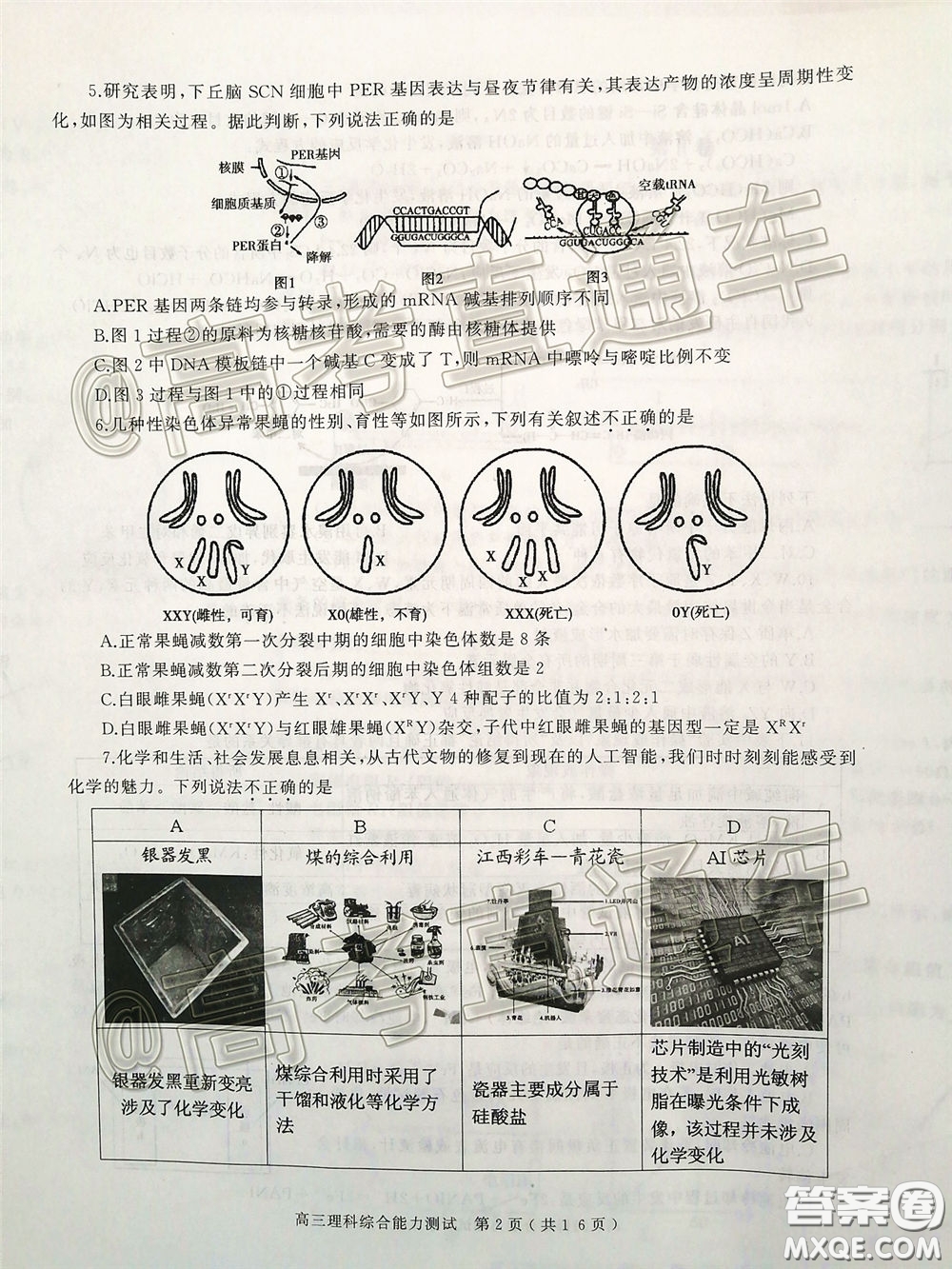 2020年河南省六市高三第一次模擬調(diào)研理綜試題答案