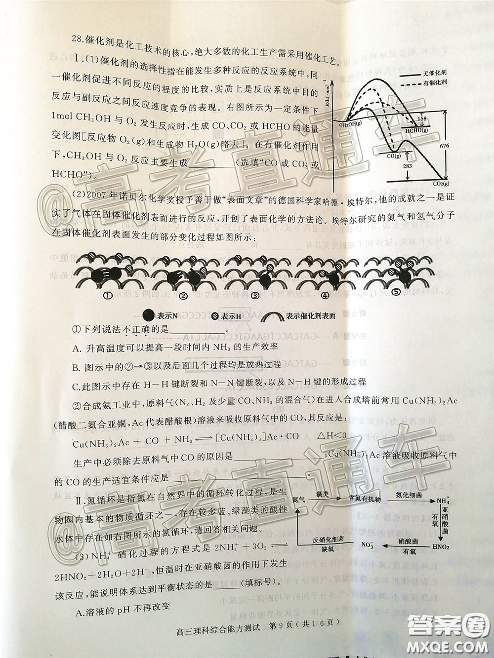 2020年河南省六市高三第一次模擬調(diào)研理綜試題答案