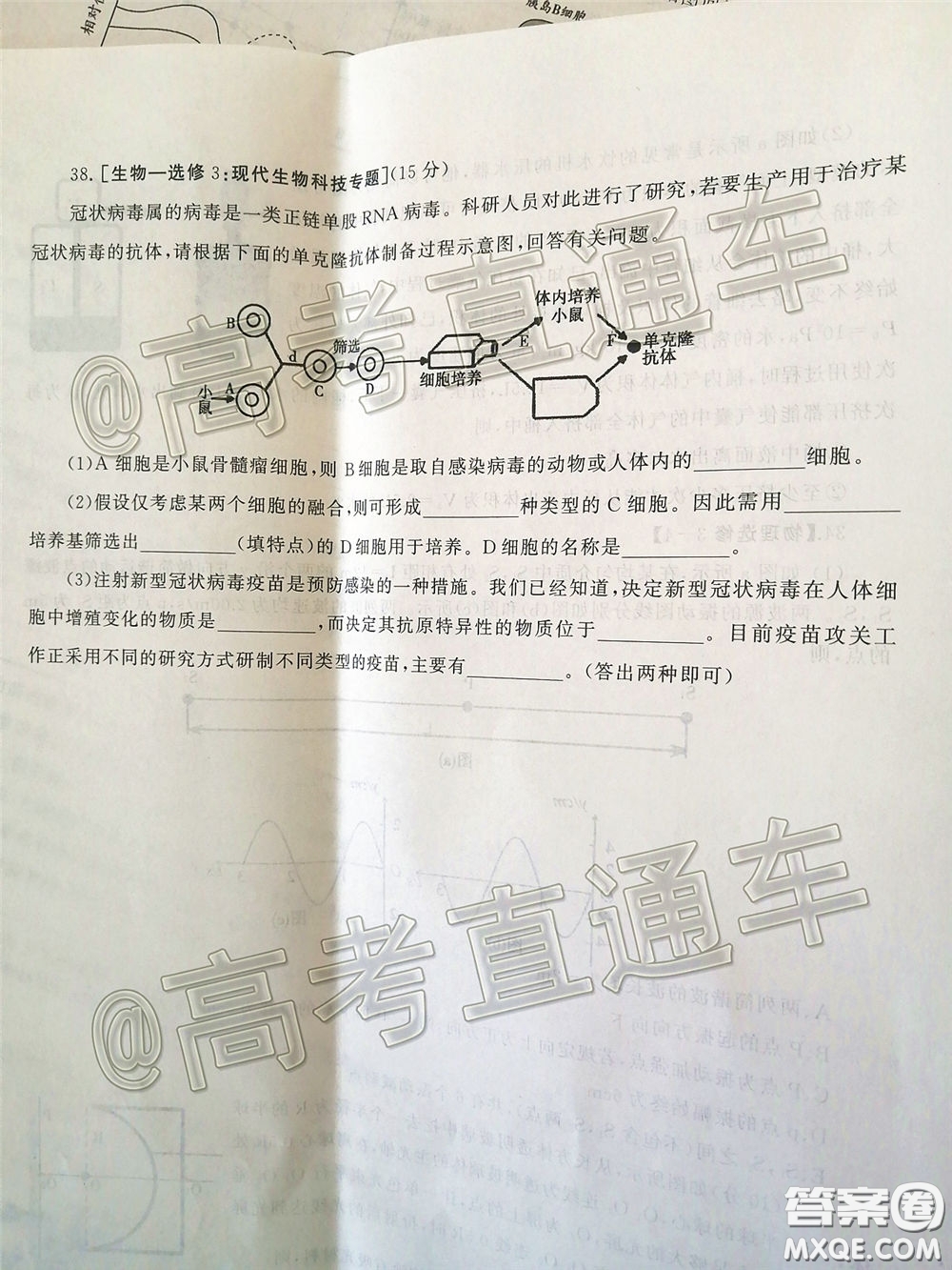 2020年河南省六市高三第一次模擬調(diào)研理綜試題答案