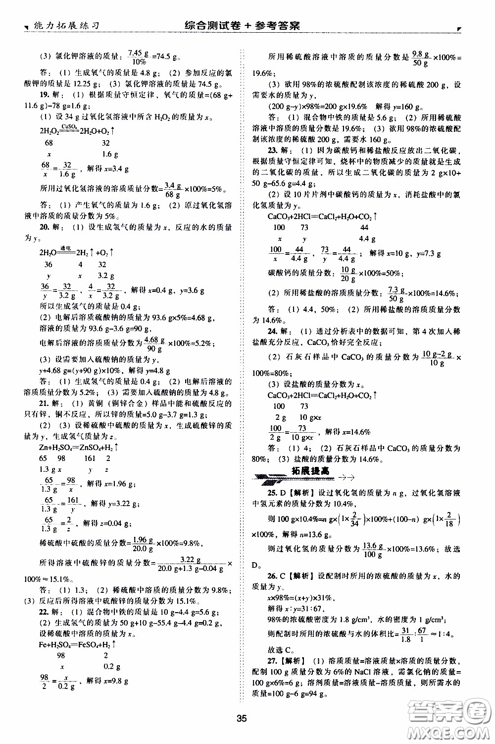 2020年能力拓展練習九年級下冊化學上教版參考答案