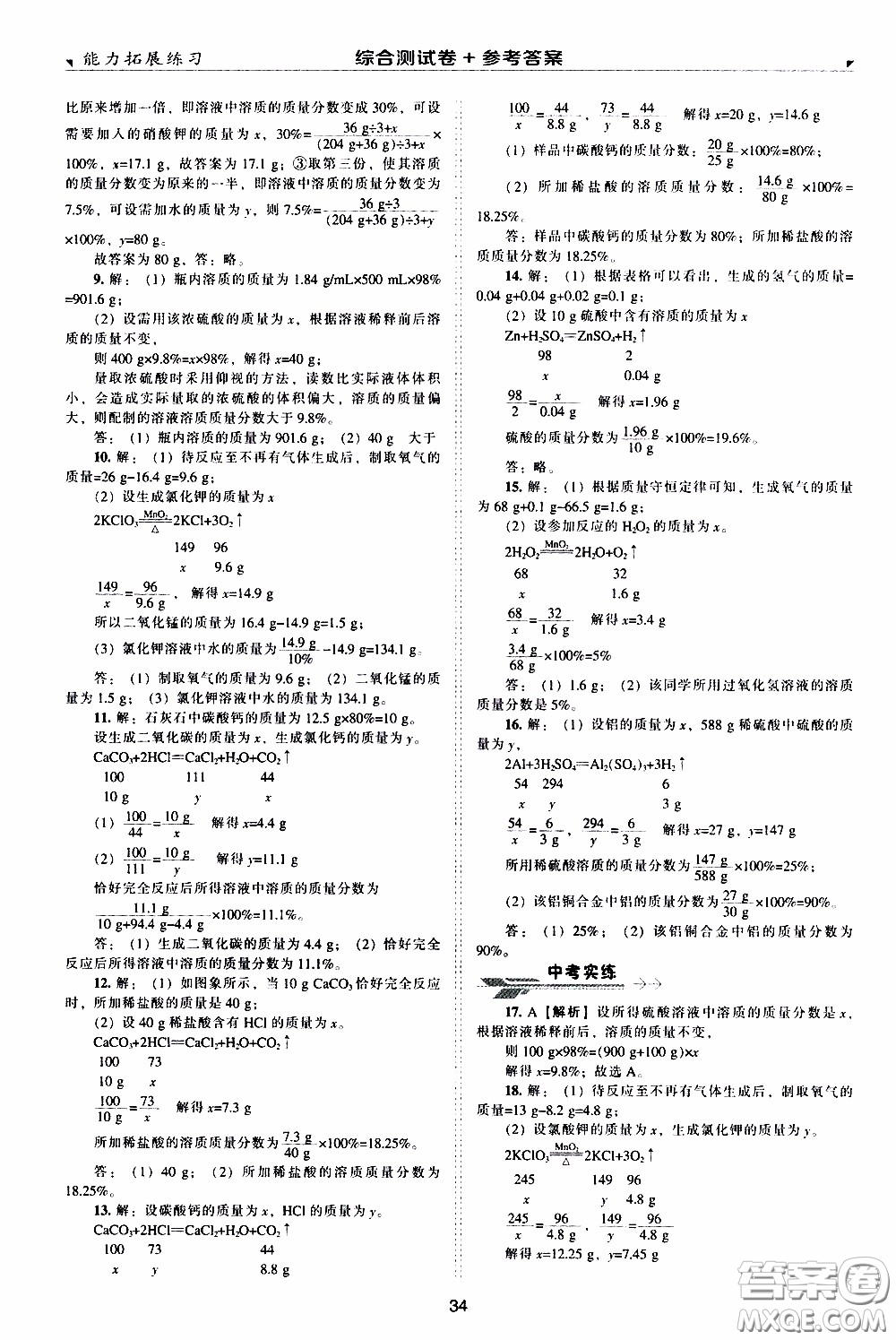 2020年能力拓展練習九年級下冊化學上教版參考答案