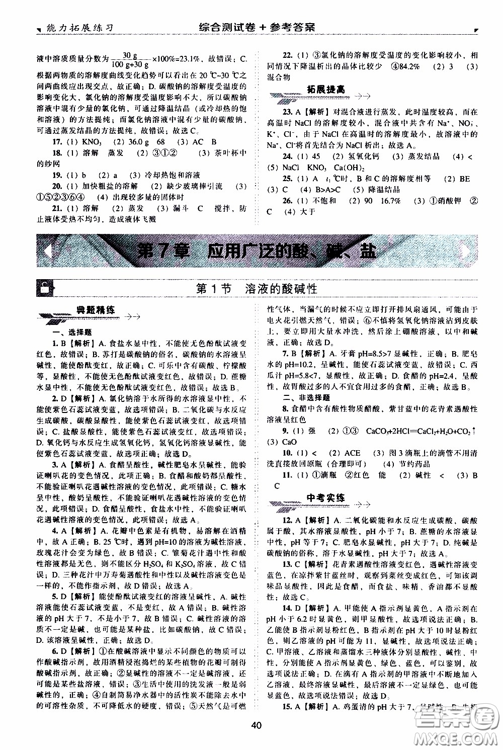 2020年能力拓展練習九年級下冊化學上教版參考答案