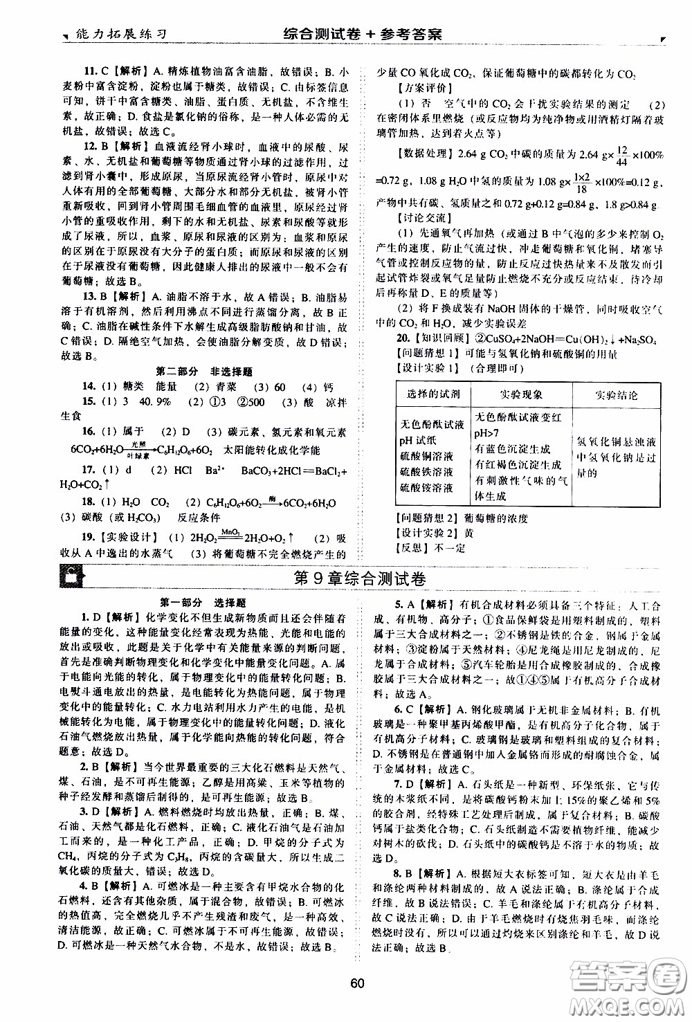 2020年能力拓展練習九年級下冊化學上教版參考答案