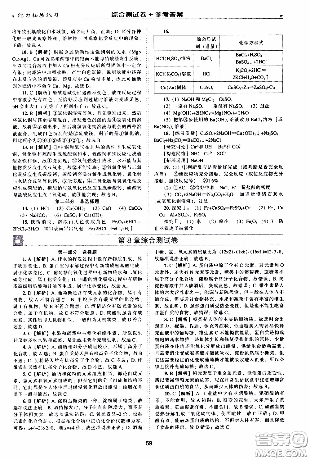 2020年能力拓展練習九年級下冊化學上教版參考答案