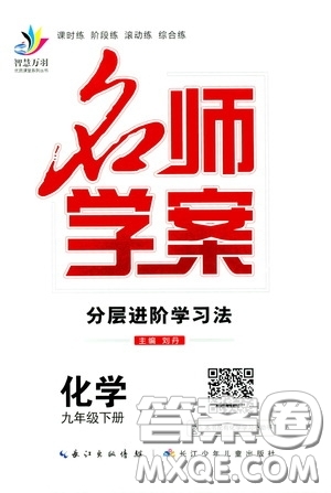 長江出版?zhèn)髅?020智慧萬羽名師學(xué)案分層進(jìn)階學(xué)習(xí)法九年級化學(xué)下冊答案