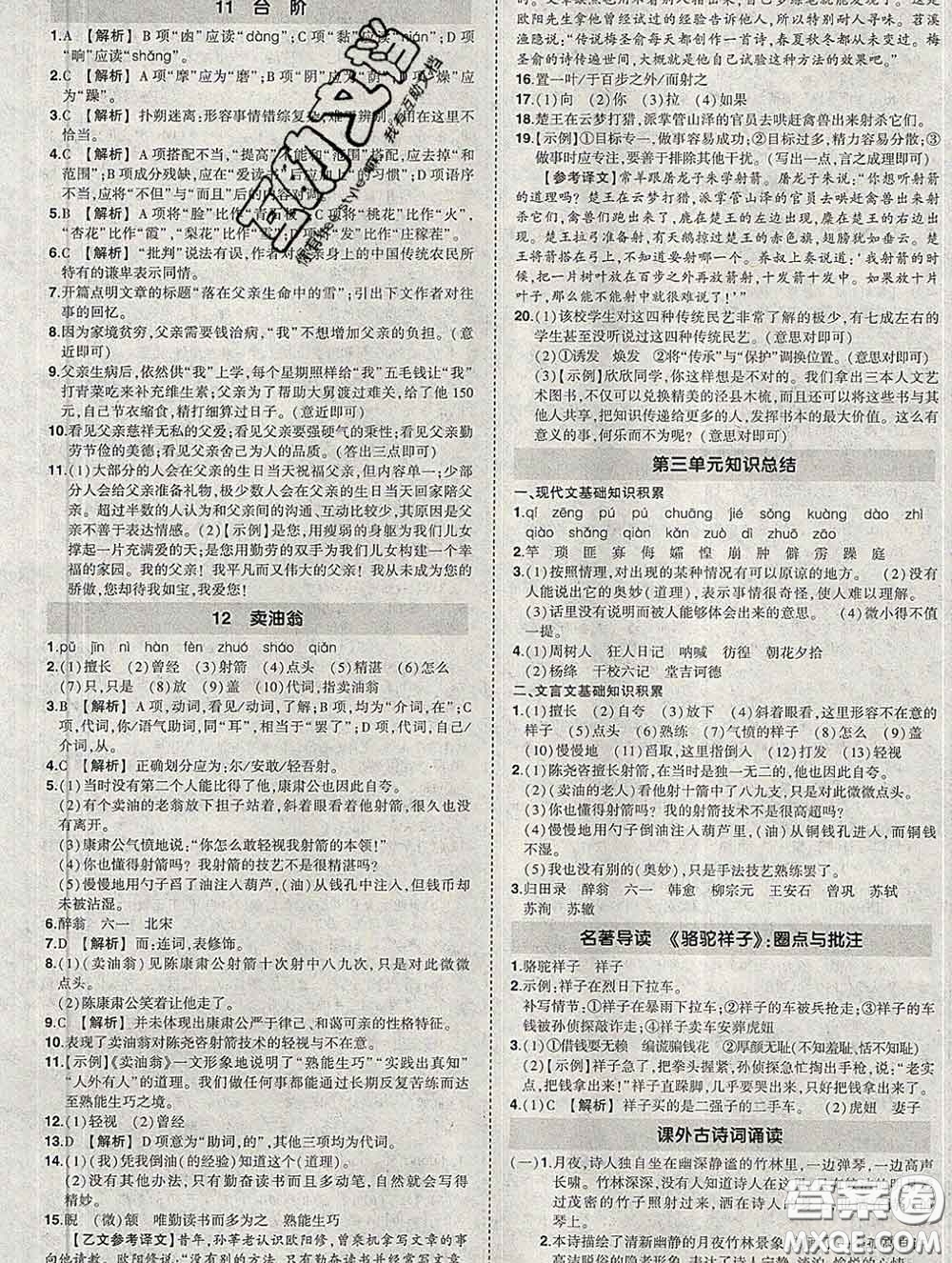 狀元成才路2020春創(chuàng)優(yōu)作業(yè)七年級(jí)語文下冊人教版答案