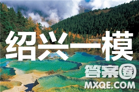 2020年紹興市高考科目考試適應(yīng)性試卷語文答案