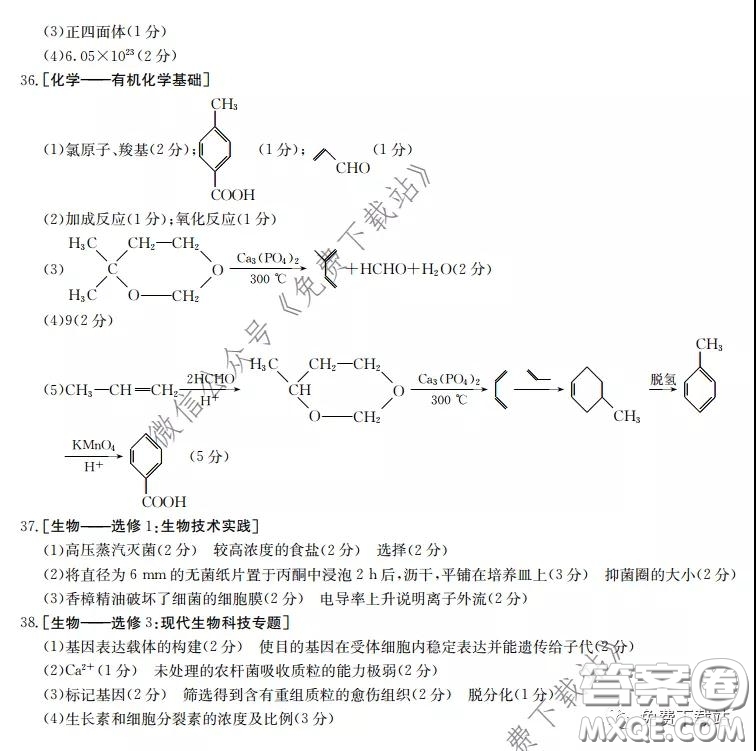2020屆湖南金太陽高三模擬考試理科綜合試題及答案