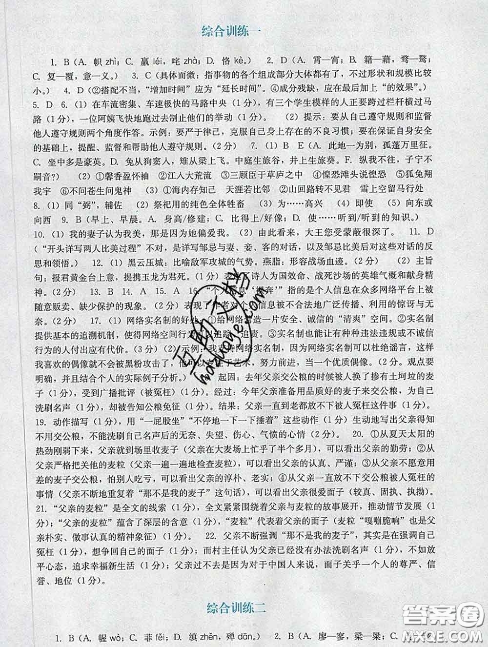 2020新版陽(yáng)光學(xué)業(yè)評(píng)價(jià)九年級(jí)語(yǔ)文下冊(cè)人教版參考答案