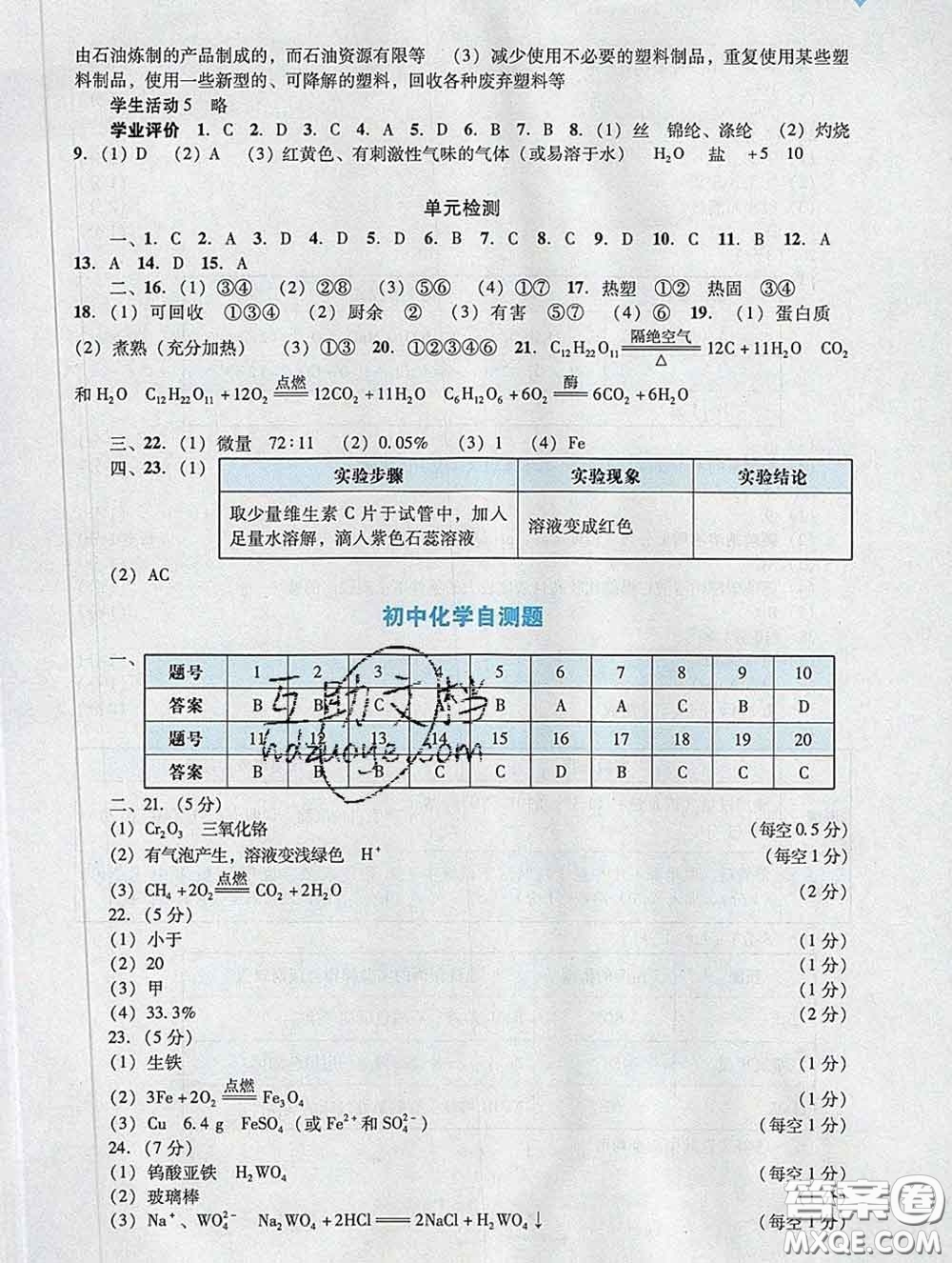 2020新版陽光學(xué)業(yè)評價九年級化學(xué)下冊人教版參考答案