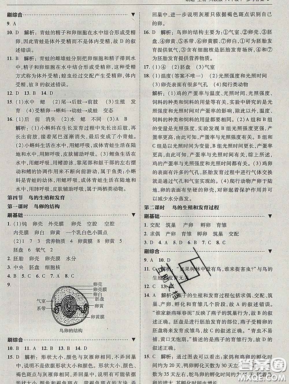 東北師范大學(xué)出版社2020春北大綠卡刷題八年級(jí)生物下冊(cè)人教版答案