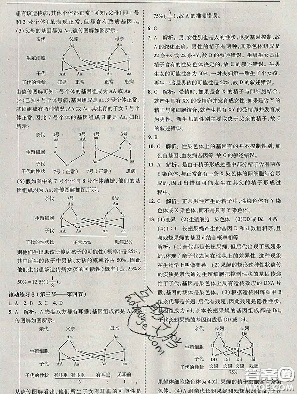 東北師范大學(xué)出版社2020春北大綠卡刷題八年級(jí)生物下冊(cè)人教版答案