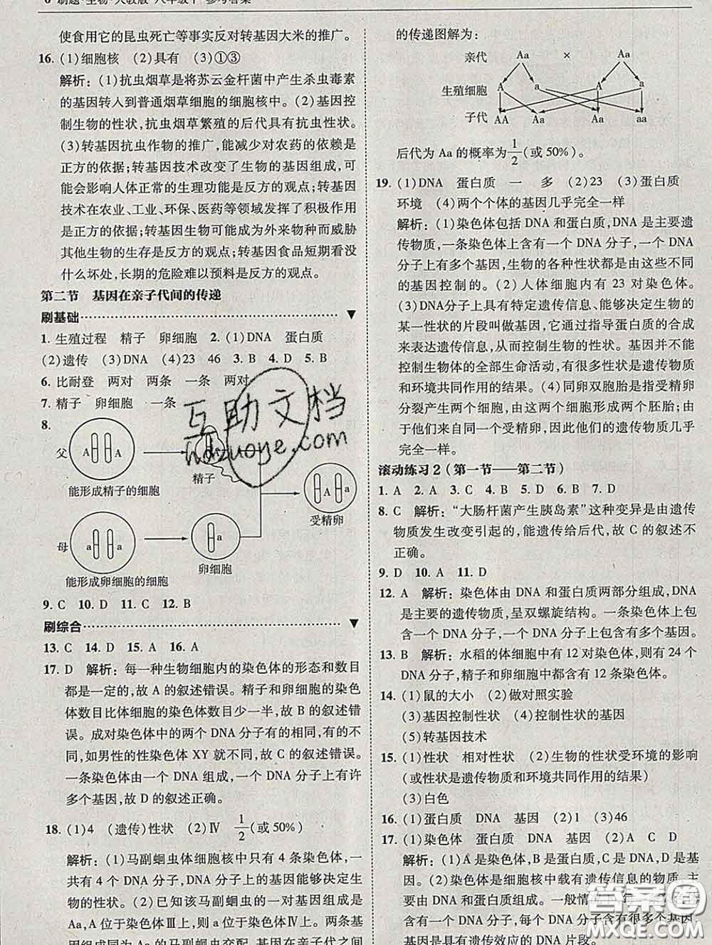 東北師范大學(xué)出版社2020春北大綠卡刷題八年級(jí)生物下冊(cè)人教版答案