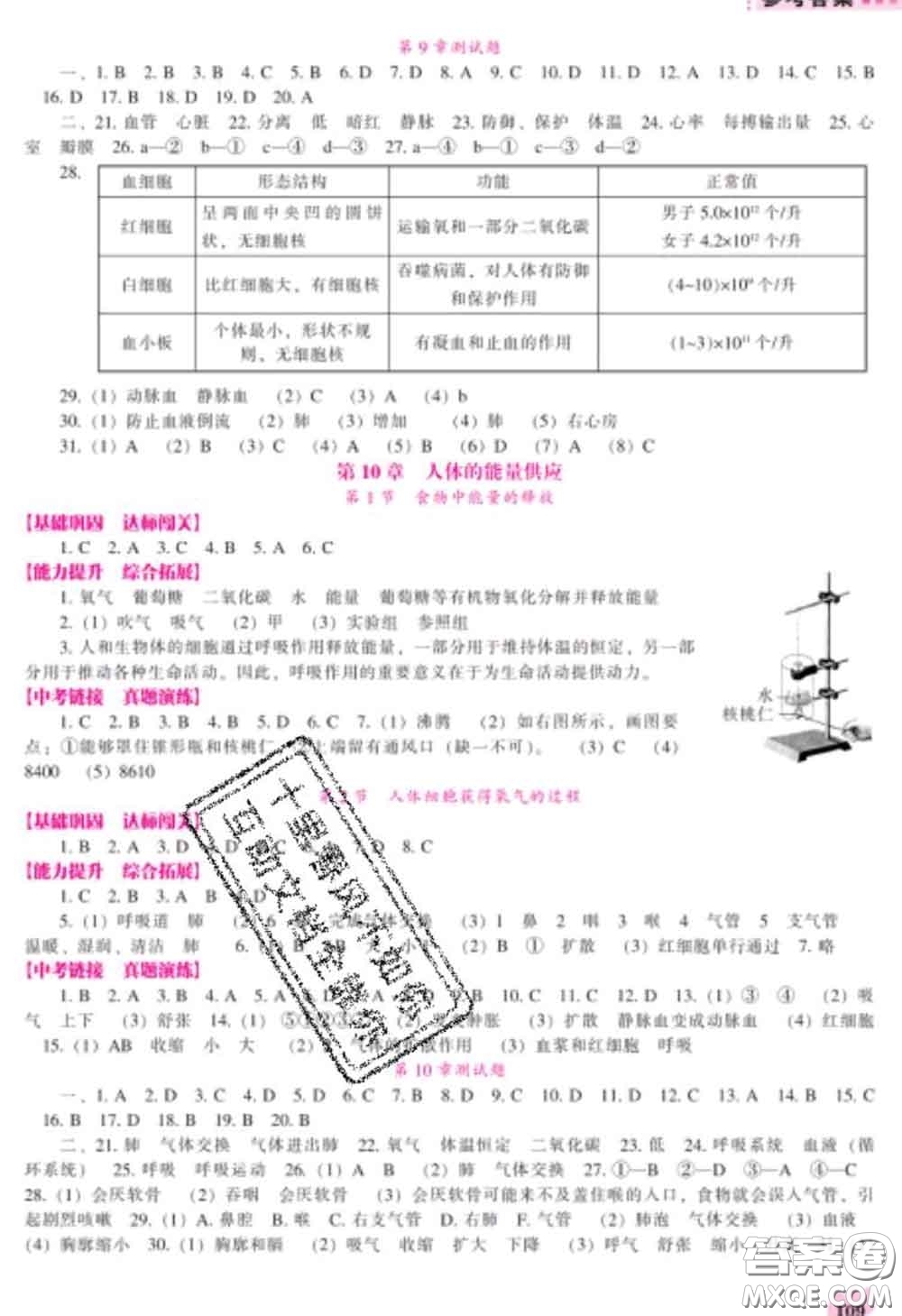 遼海出版社2020新版新課程生物能力培養(yǎng)七年級下冊北師版答案