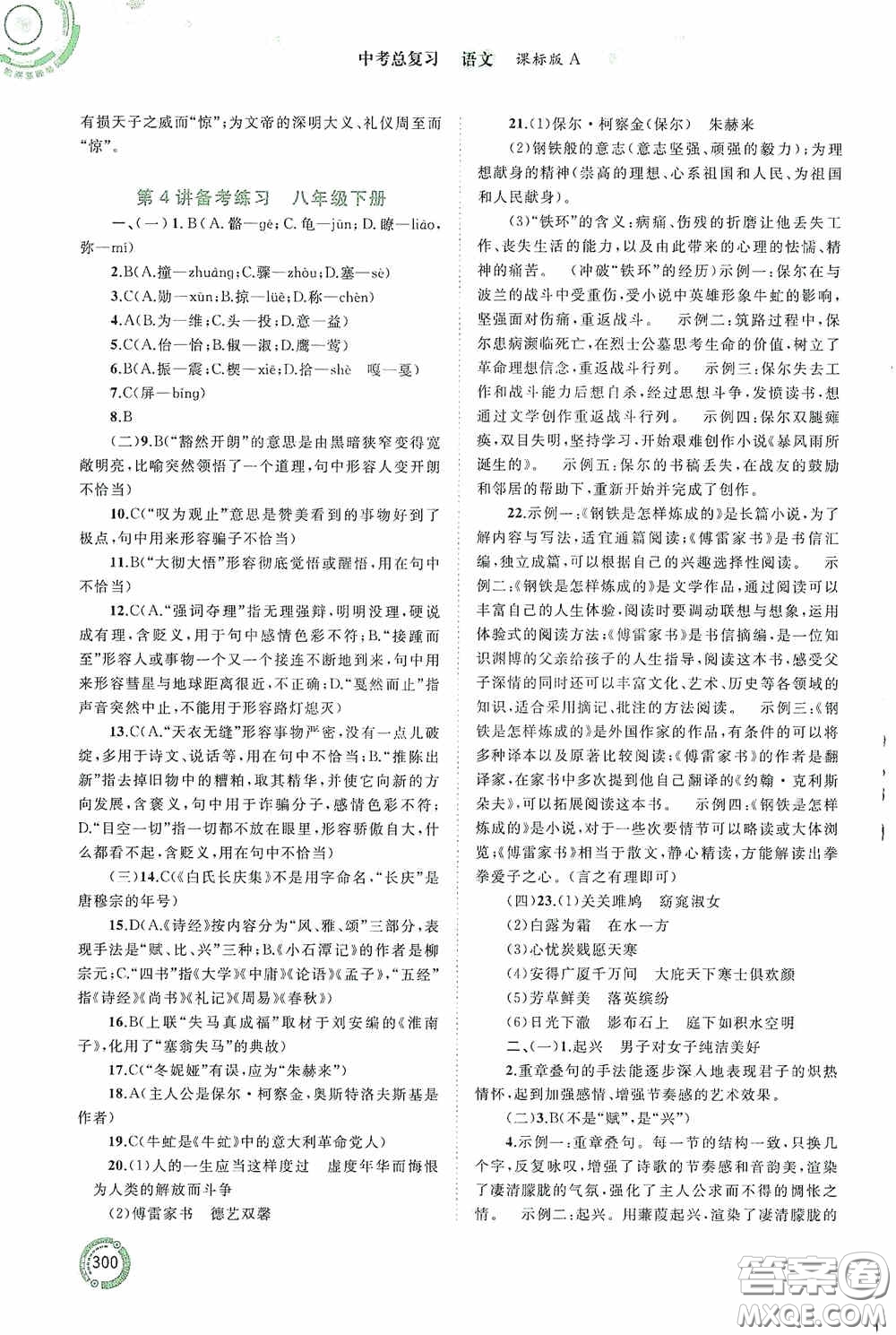 廣西教育出版社2020中考先鋒中考總復(fù)習(xí)語文課標版A答案