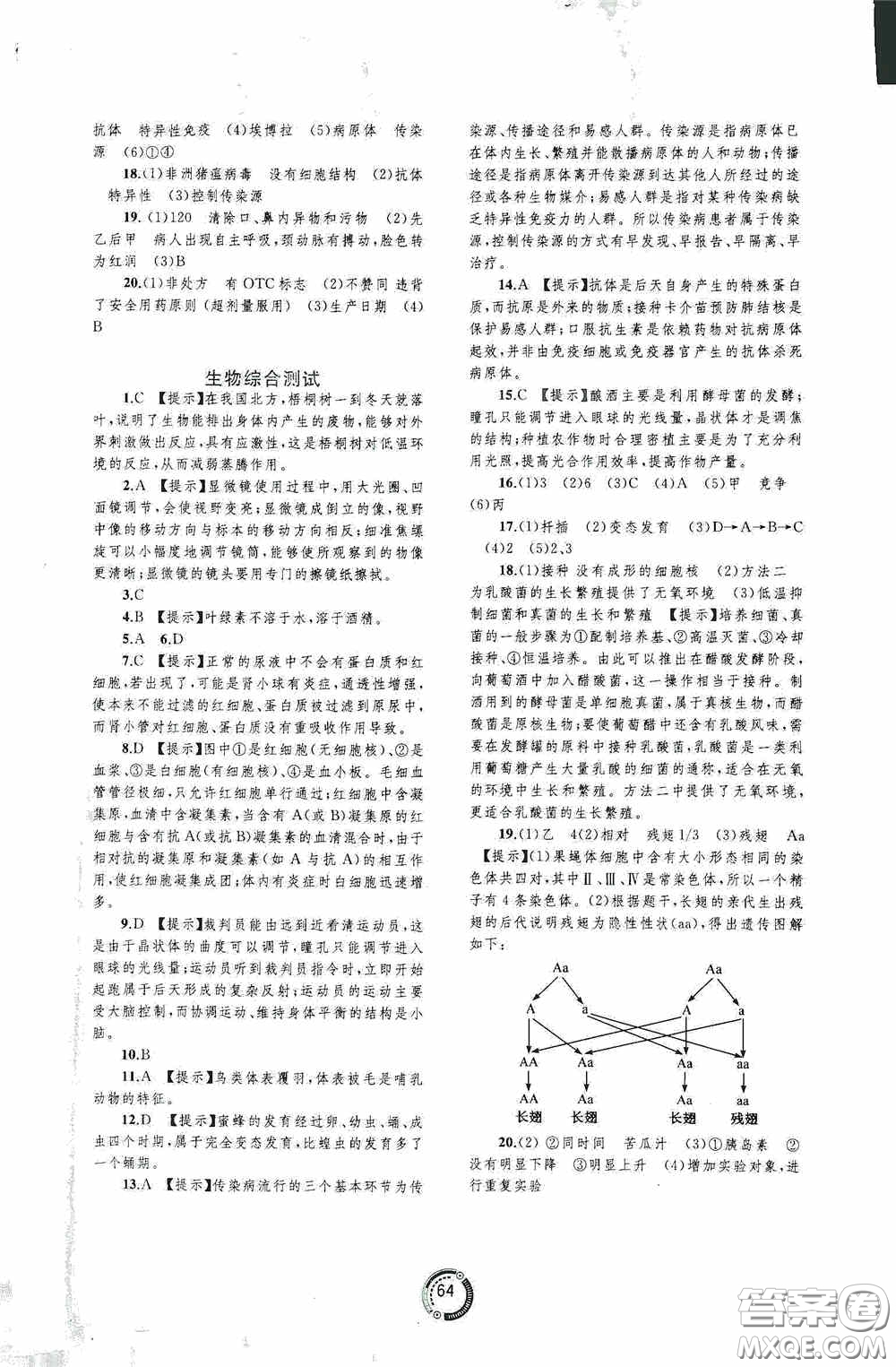 廣西教育出版社2020中考先鋒中考總復習配套測試卷生物課標版C答案
