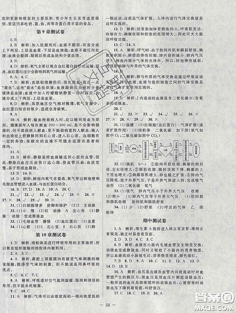2020春課堂精練七年級(jí)生物下冊(cè)北師版河北專版答案