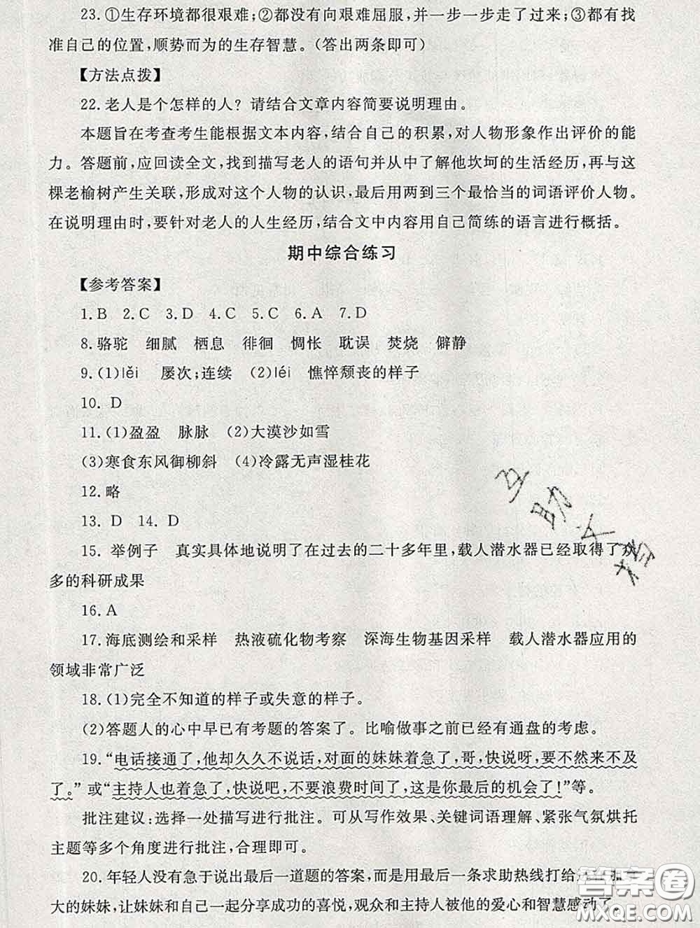 2020春海淀名師伴你學(xué)同步學(xué)練測(cè)六年級(jí)語(yǔ)文下冊(cè)人教版答案