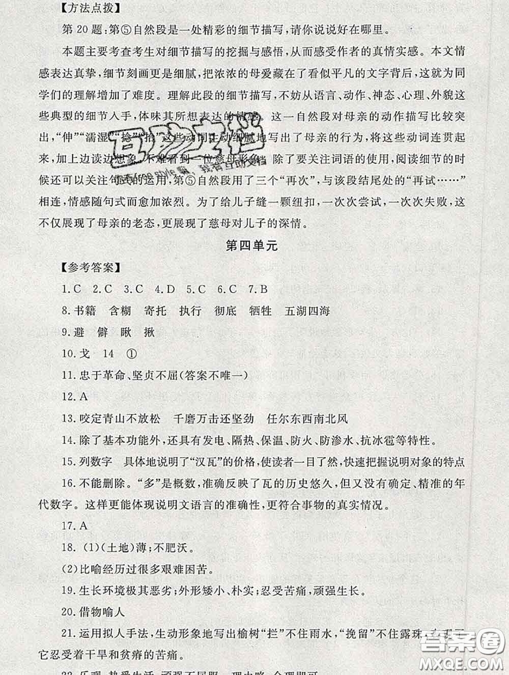 2020春海淀名師伴你學(xué)同步學(xué)練測(cè)六年級(jí)語(yǔ)文下冊(cè)人教版答案