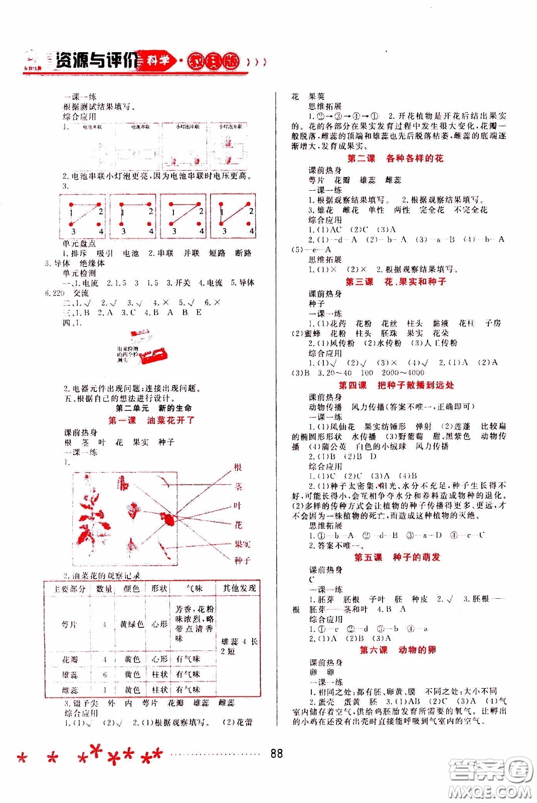 2020年資源與評價科學(xué)四年級下冊教科版參考答案