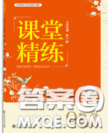 2020春課堂精練九年級(jí)數(shù)學(xué)下冊北師版福建專版答案