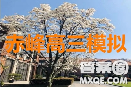 2020年內(nèi)蒙古赤峰市高三4月模擬考試文科數(shù)學試題及答案