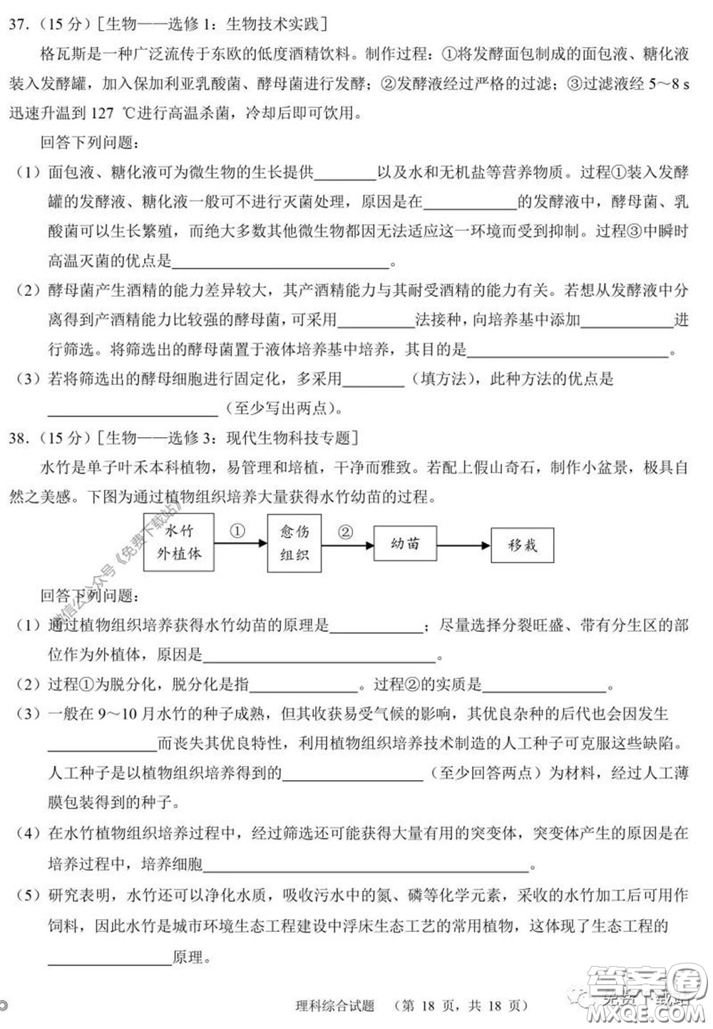 長郡中學2020屆高三適應性考試四理科綜合試題及答案