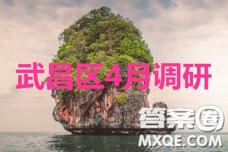 武昌區(qū)2020屆高三年級(jí)四月調(diào)考語(yǔ)文答案