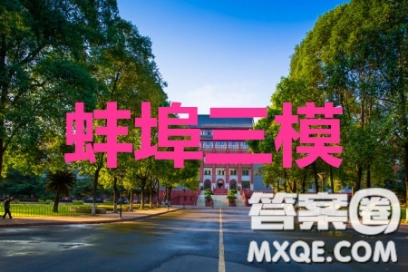 蚌埠市2020屆高三年級(jí)第三次教學(xué)質(zhì)量檢查考試數(shù)學(xué)文史類參考答案